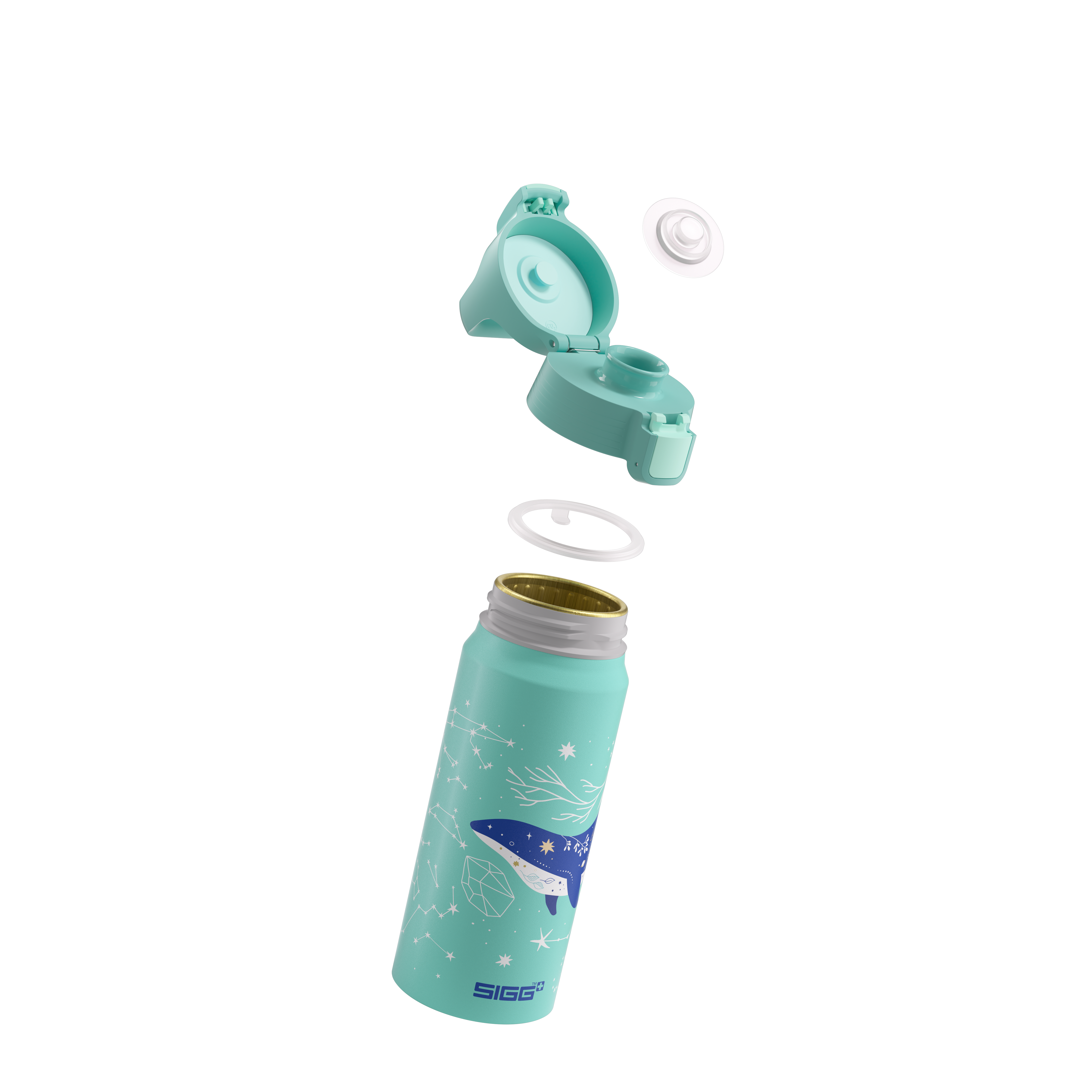 #farbe_dive#größe_0.6 l
