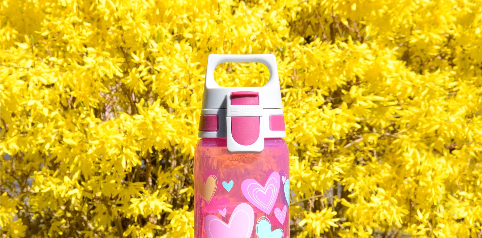Coffret VIVA ONE Everyday – Bouteille + égouttoir Hearts